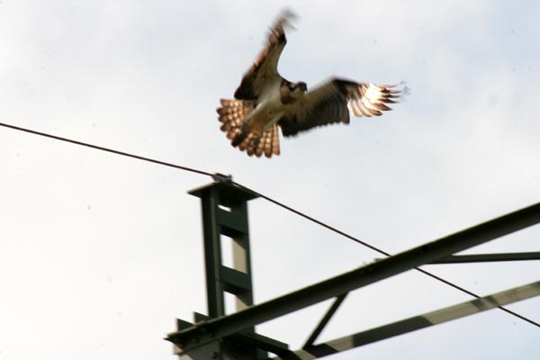 Killikus&reg; Fotographie